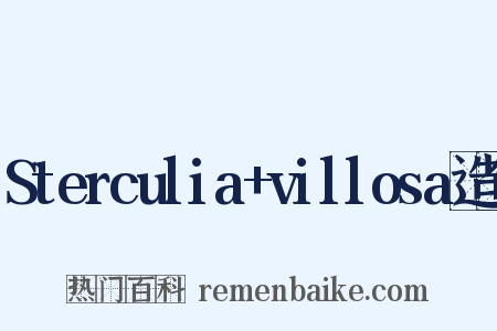 Sterculia+villosa造句是什么意思的图片